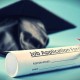 diploma